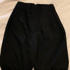 Zara High Waisted Pants